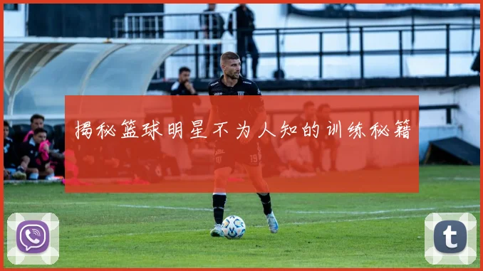 揭秘篮球明星不为人知的训练秘籍