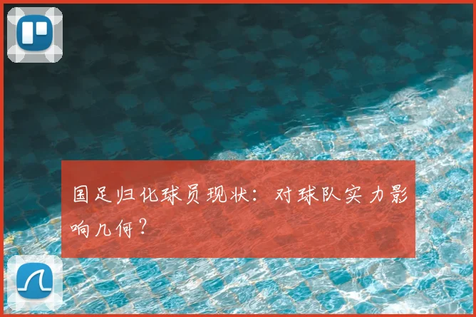 国足归化球员现状：对球队实力影响几何？